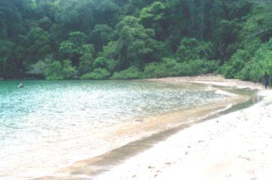 Beach 1